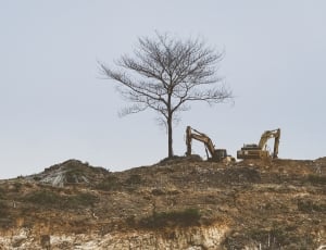 two excavators near lone tree on mountain thumbnail