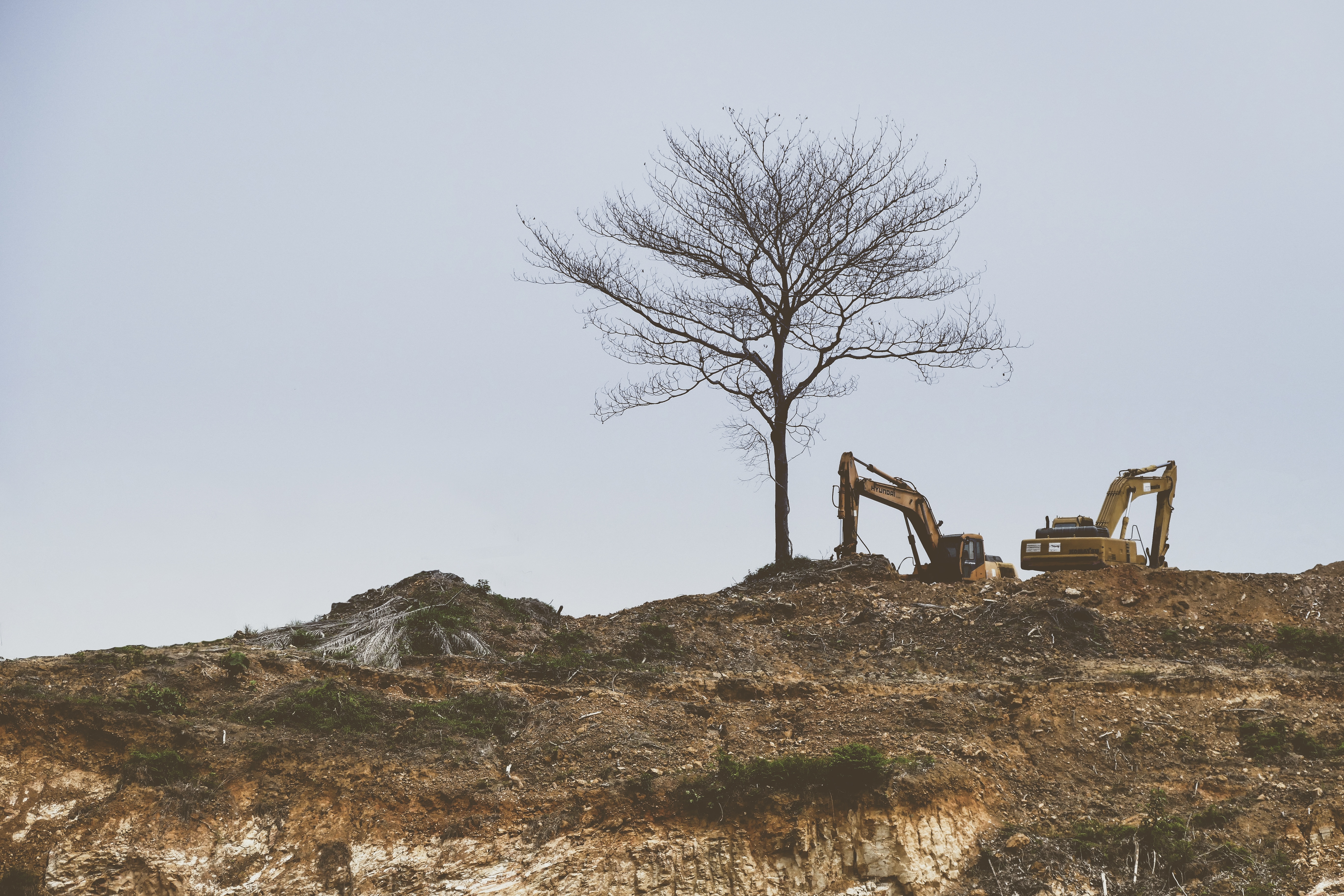 two excavators near lone tree on mountain