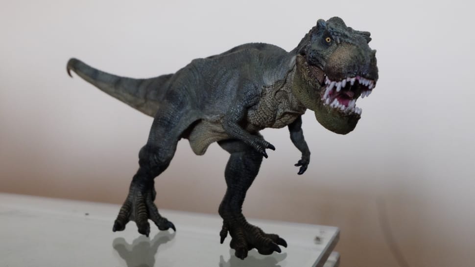 black t rex toy