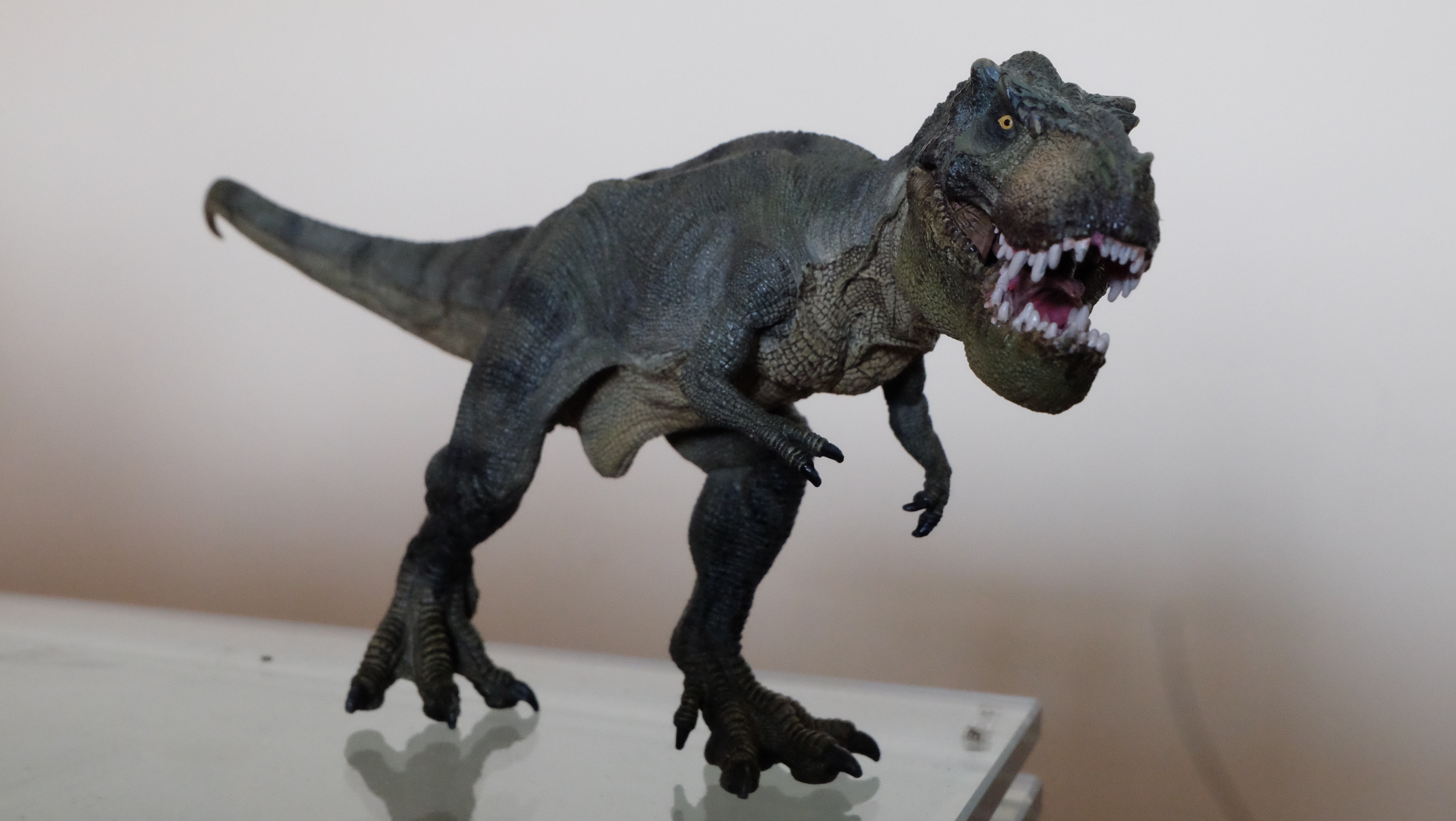 "black and gray T-Rex plastic figure" image online crop.