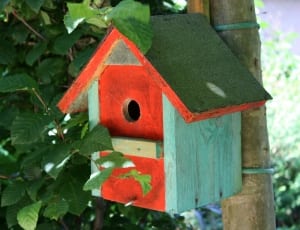 orange gray and black wooden bird house thumbnail