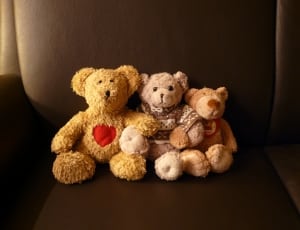 3 brown bear plush toys thumbnail