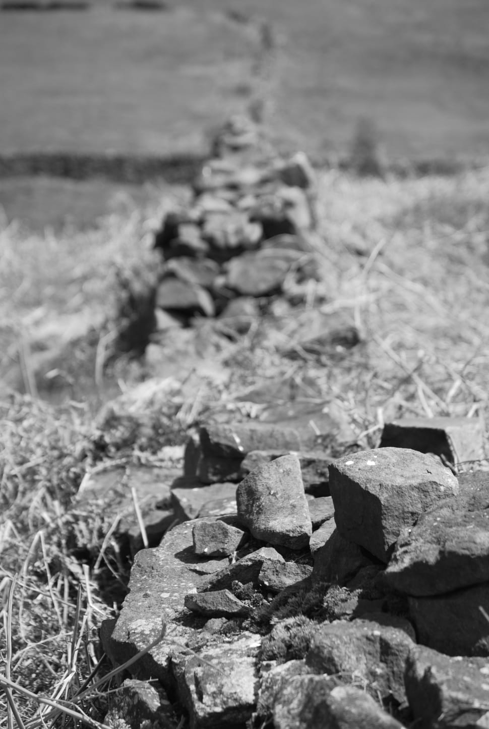 grayscale photo of rocks preview