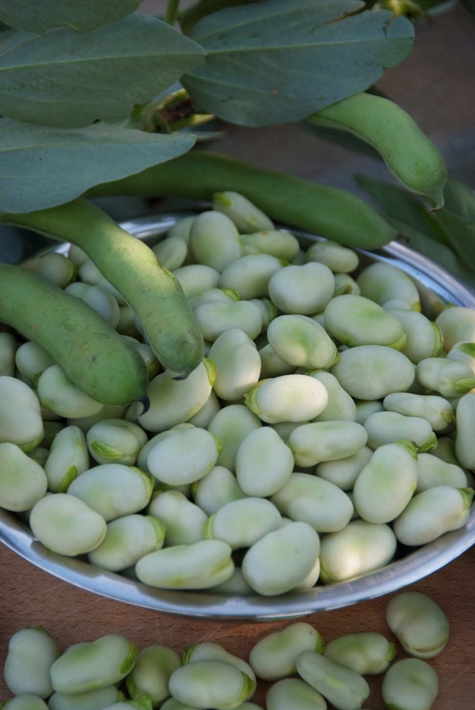 white beans on stainless steel round bowl preview