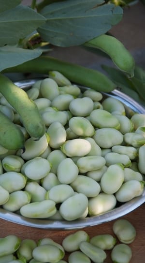 white beans on stainless steel round bowl thumbnail
