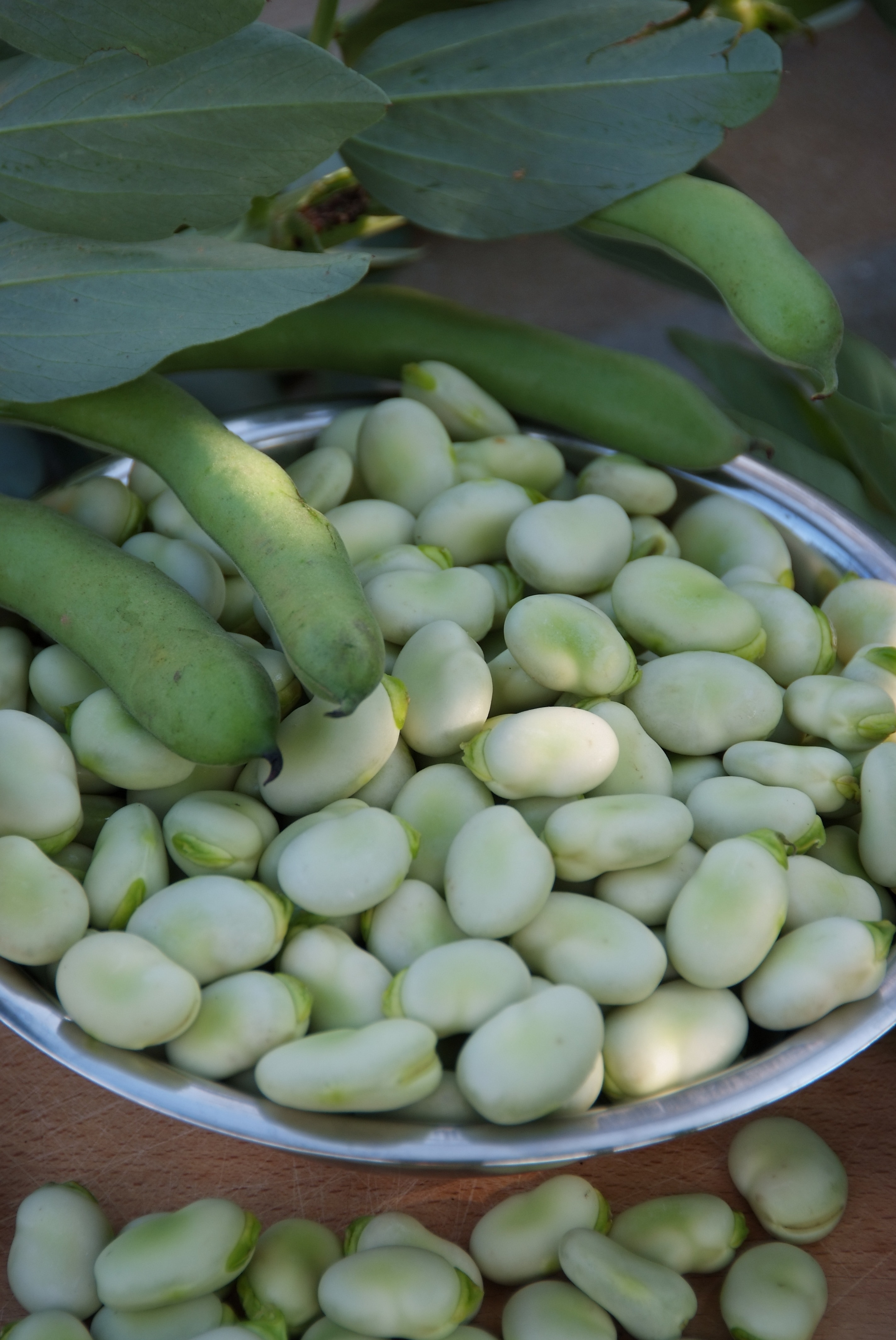 white beans on stainless steel round bowl