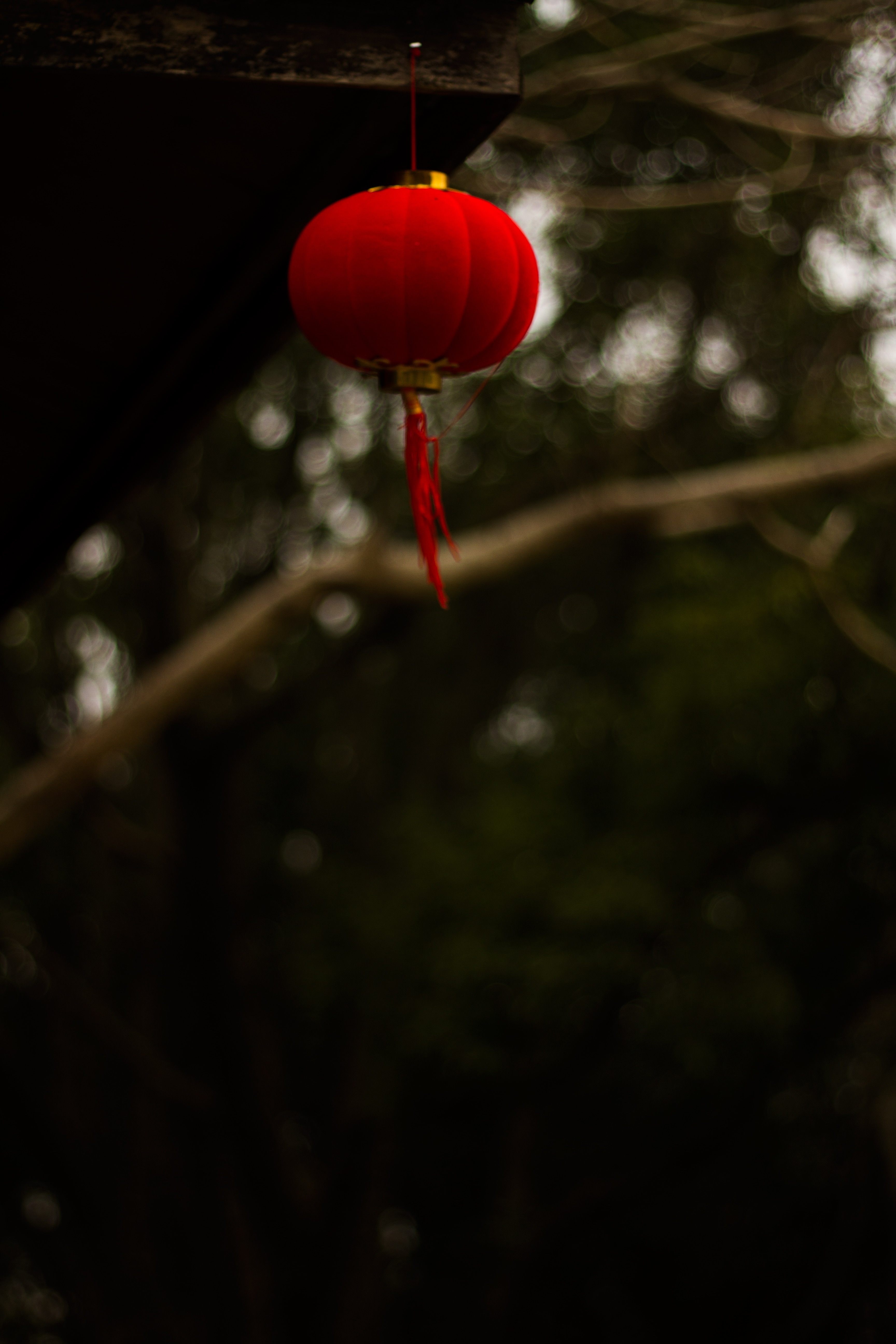 red round lantern