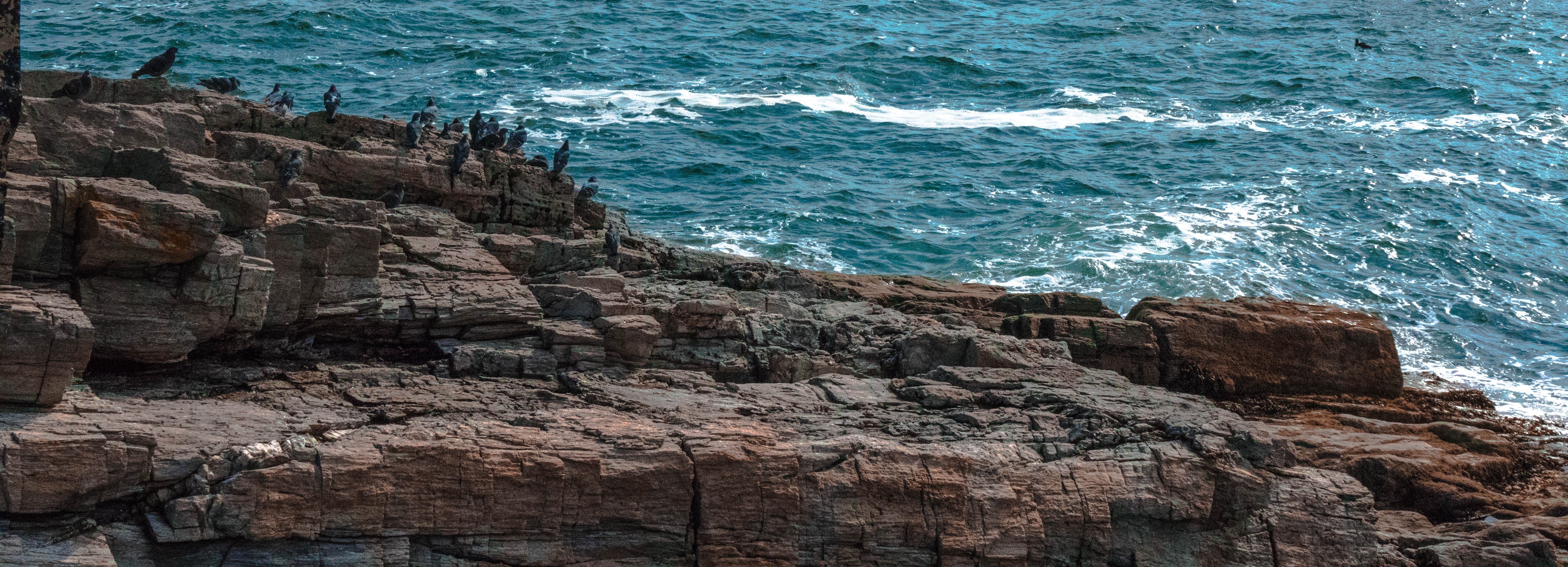 rocky cliff near beach