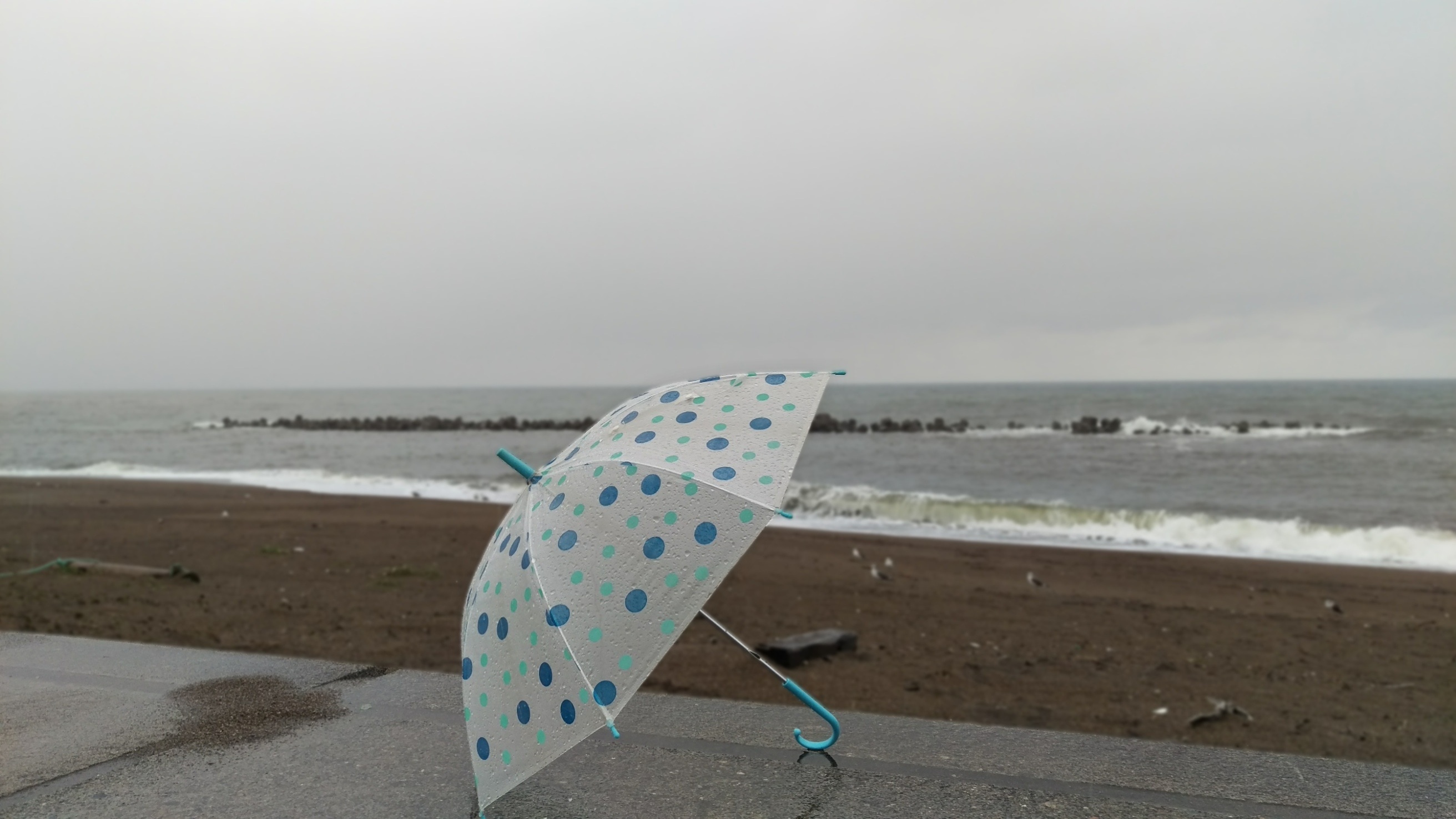 grey and blue polka dot umbrella