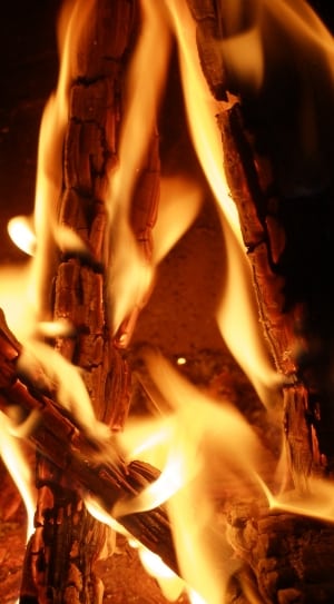 fire woods thumbnail
