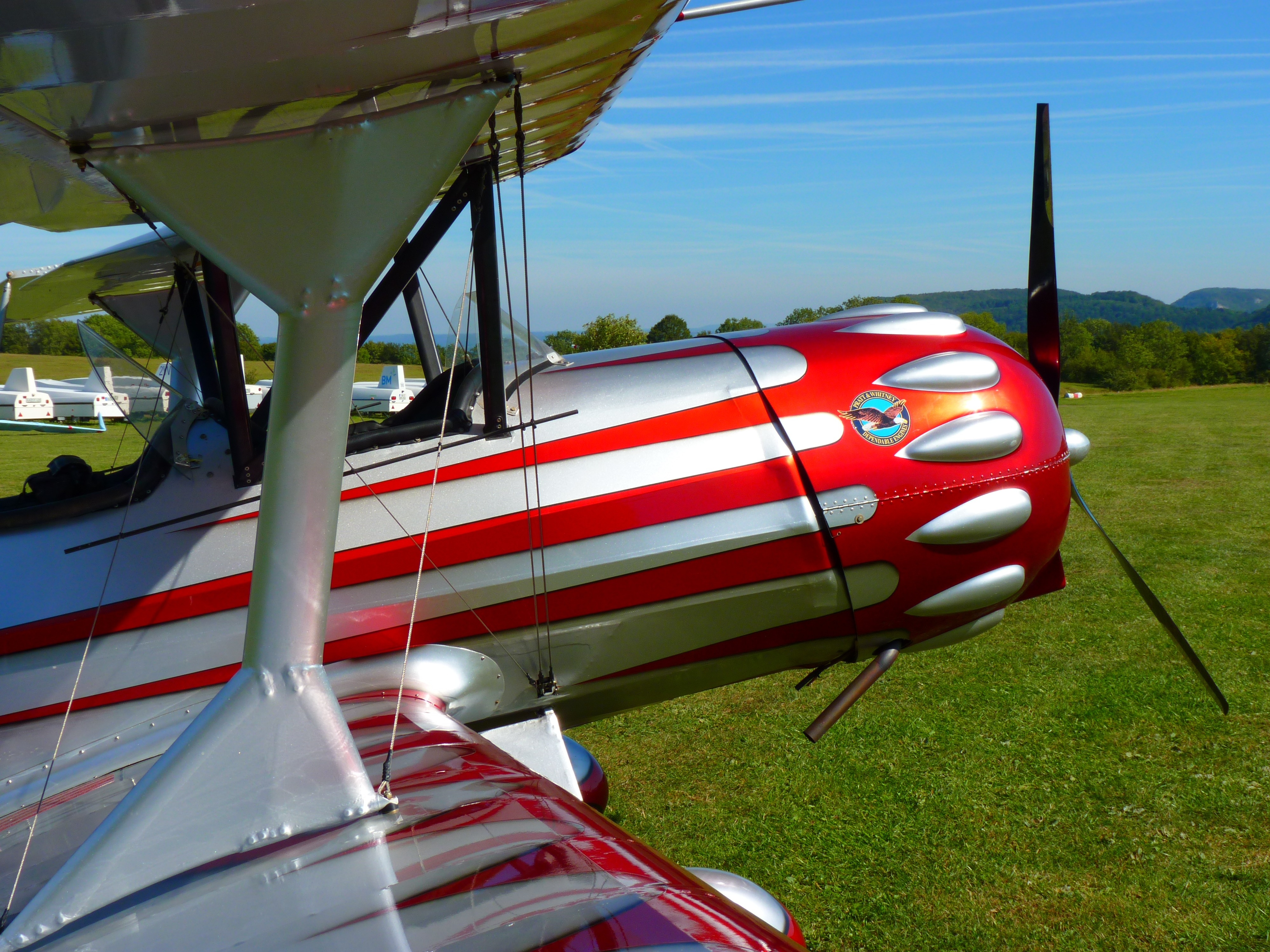 white and red aviator