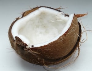 coconut shell thumbnail