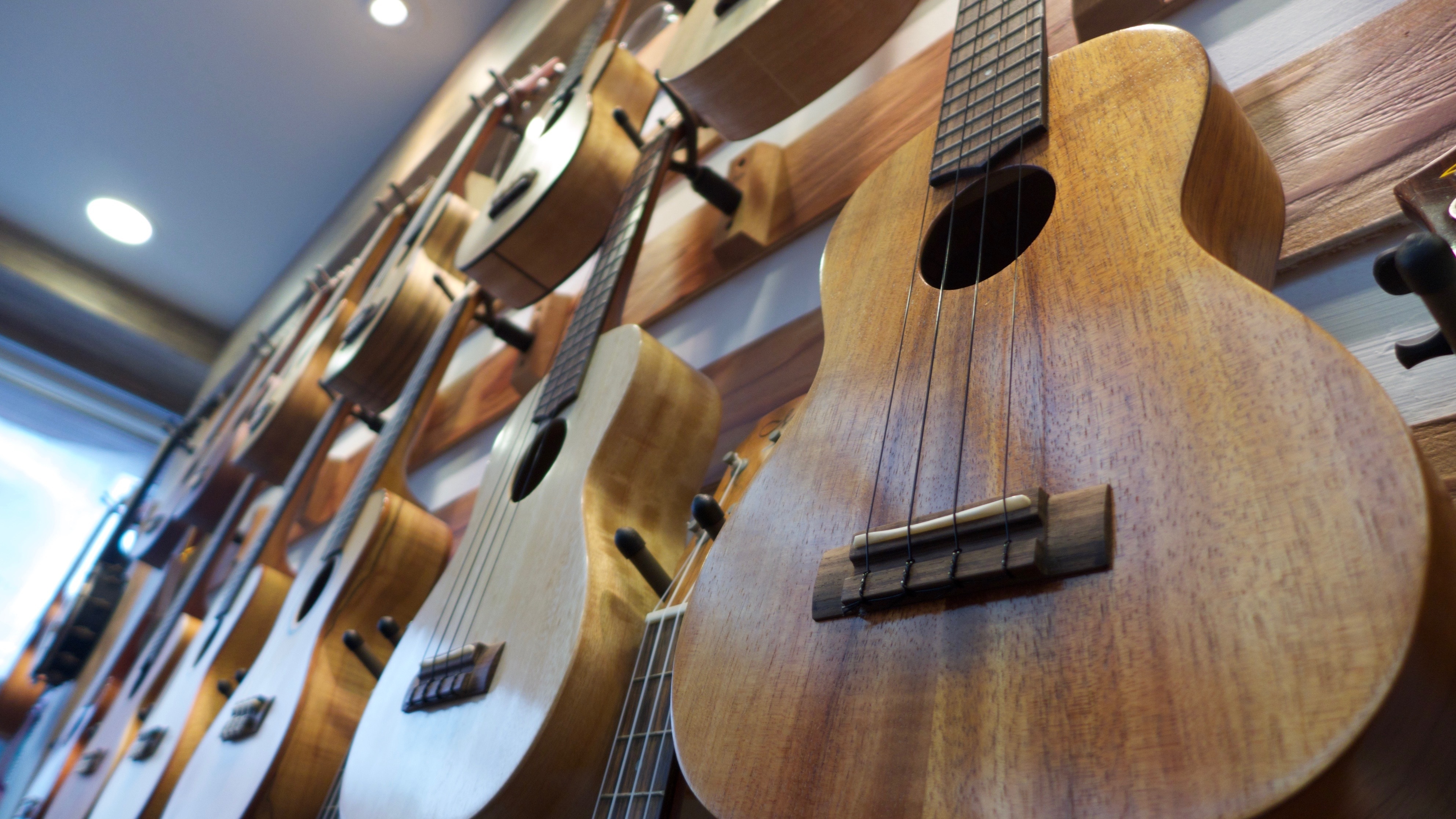 beige dreadnought acoustic guitars