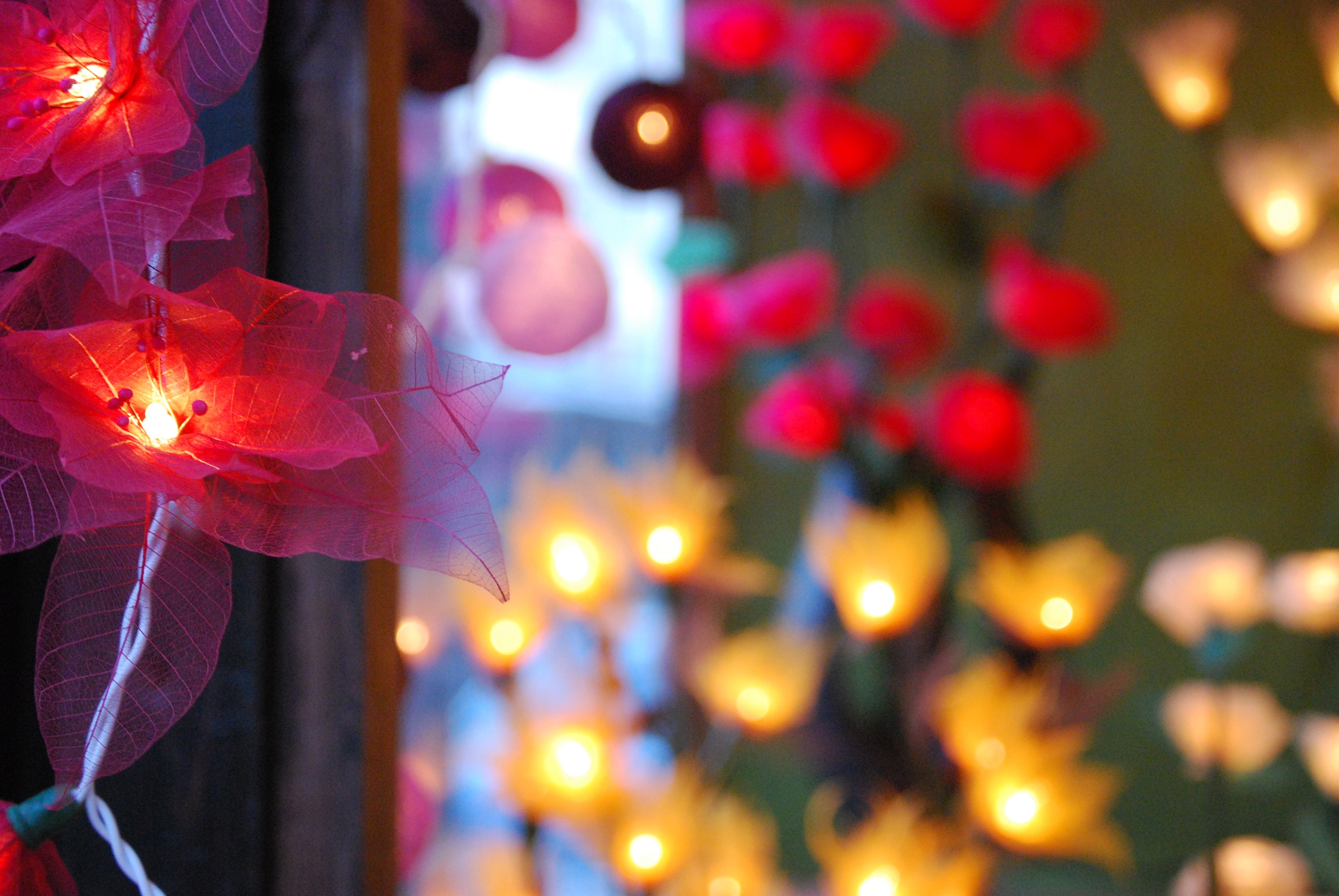 red artificial poinsettias string lights