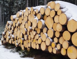 pile of wooden logs thumbnail