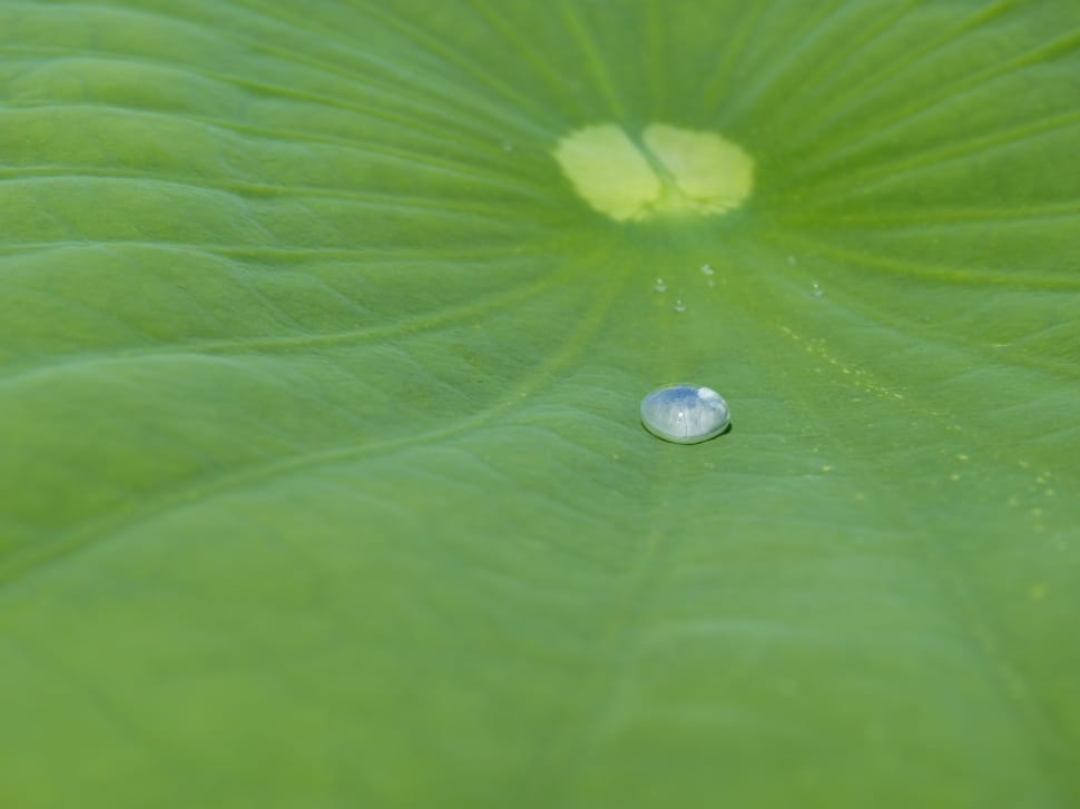 water droplet preview