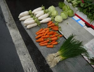 carrots spring onions cabbage and white radish thumbnail
