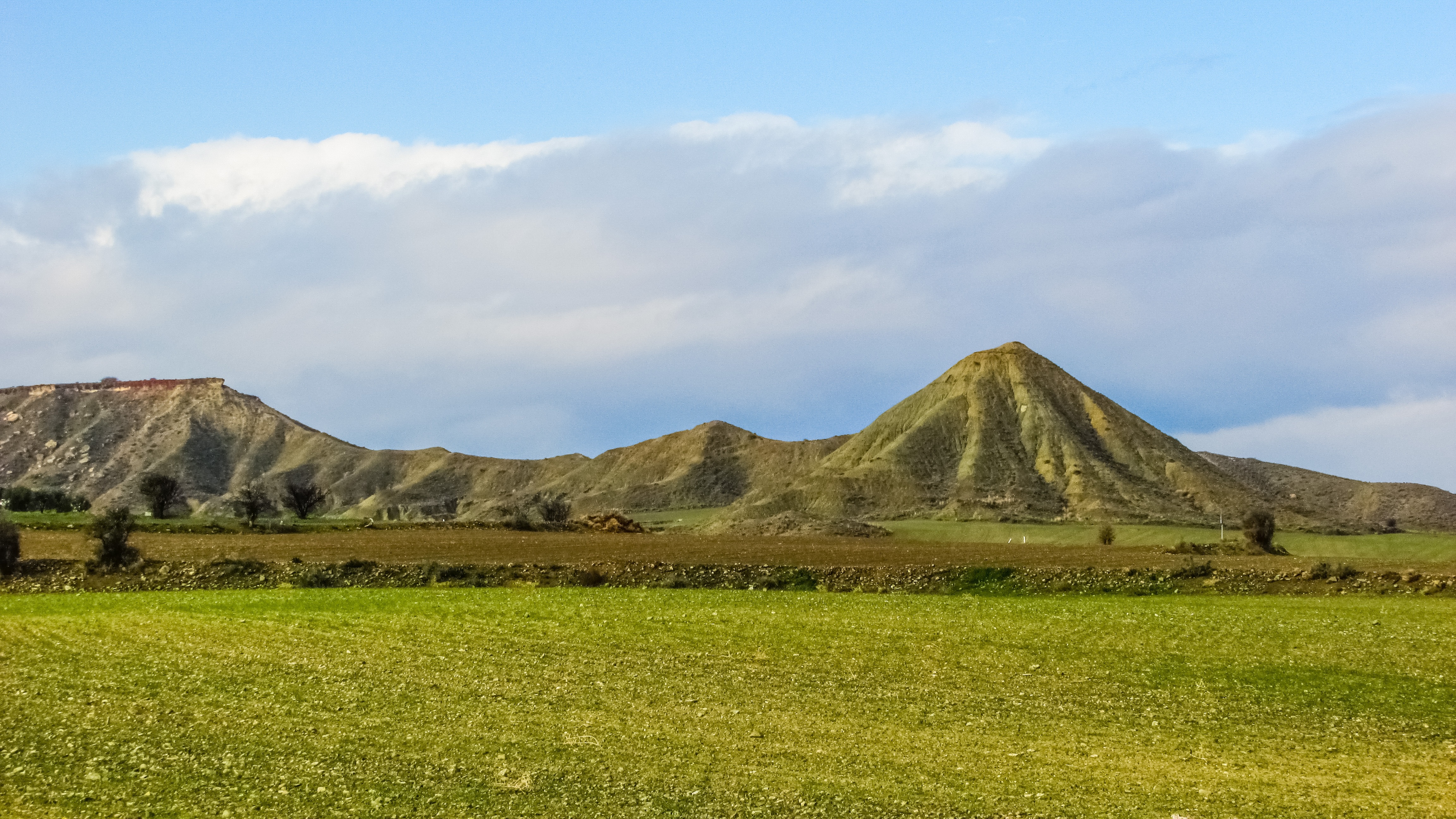 green field and mountain range