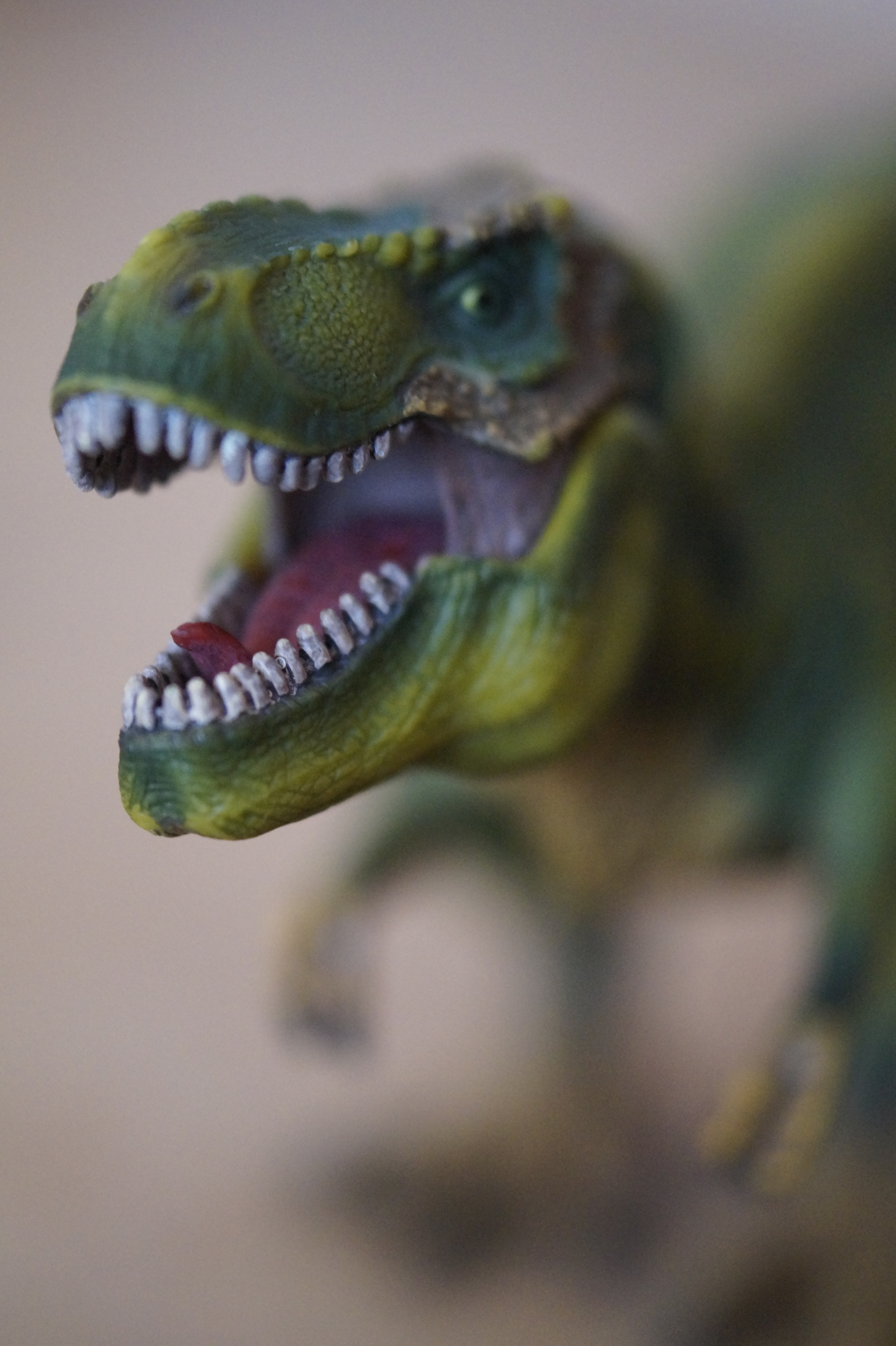 Рев динозавра. Зубы тираннозавра Рекса. Зубы динозавров Тирекс. Тираннозавр рекс хищник. Динозавры хищники.