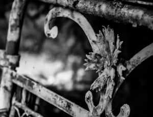 metal scroll floral fence thumbnail
