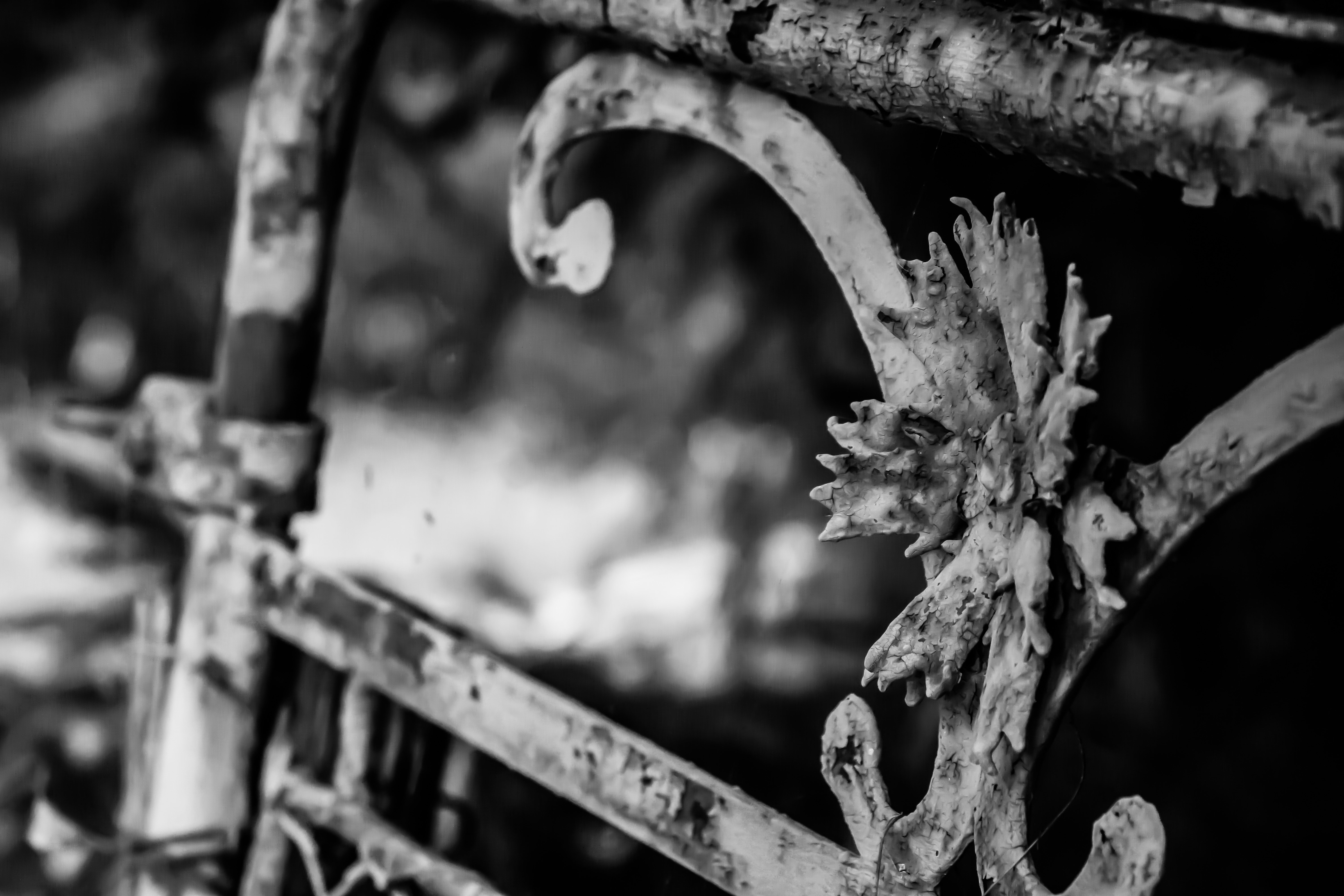 metal scroll floral fence