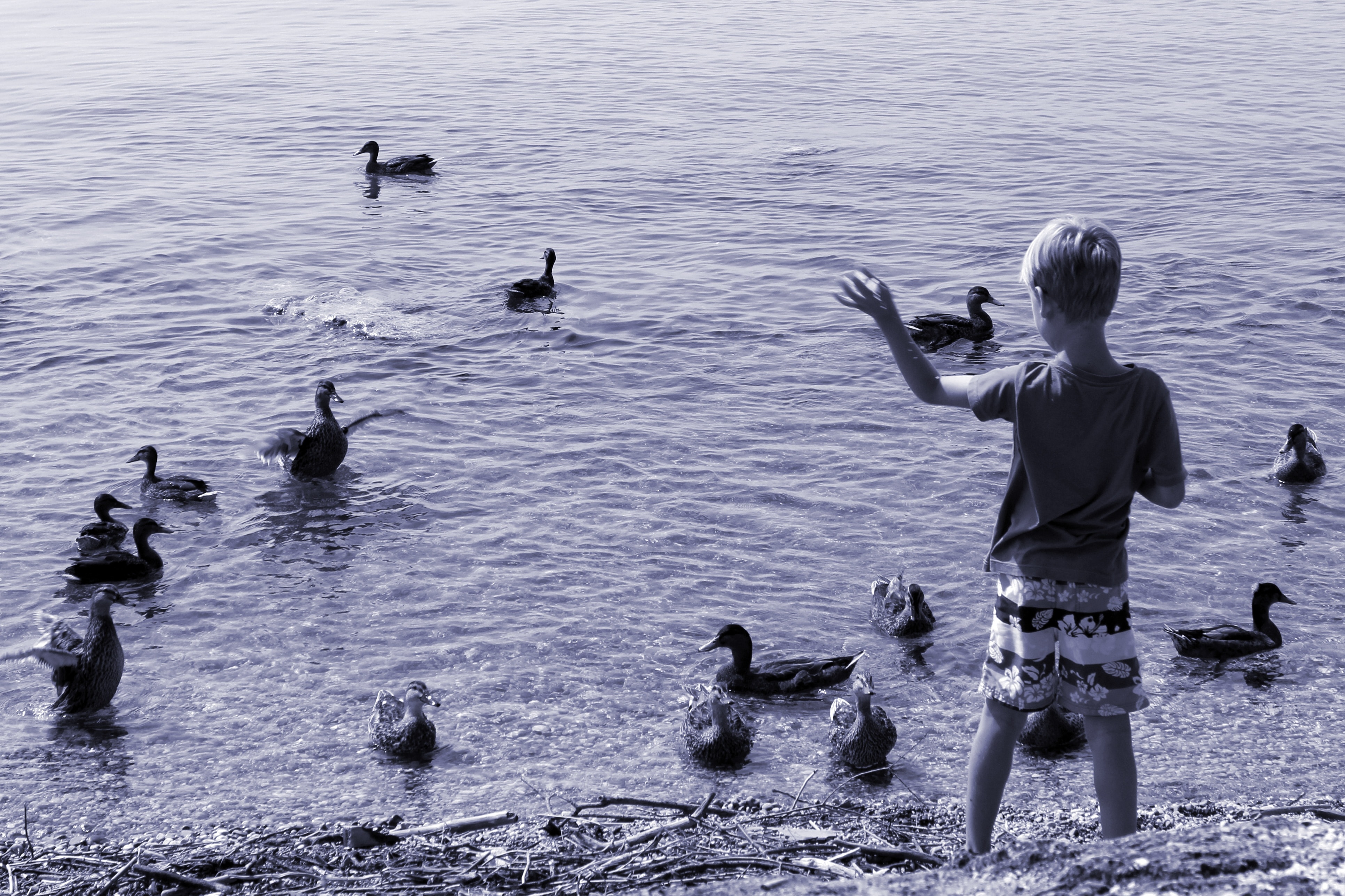 Вода которую мальчик несет. Мальчики на озере. Мальчишки на озере. Утка мальчик. Мальчик с утками.