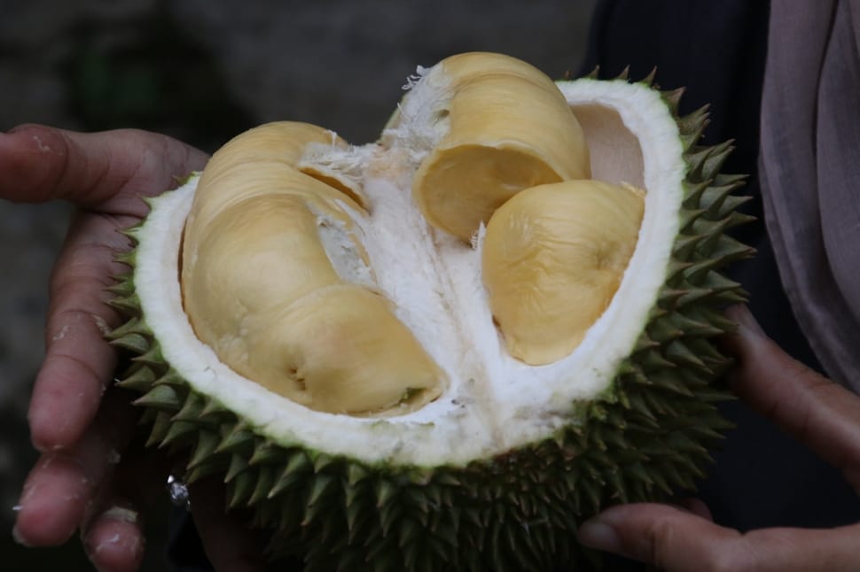 durian fruit preview