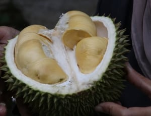 durian fruit thumbnail