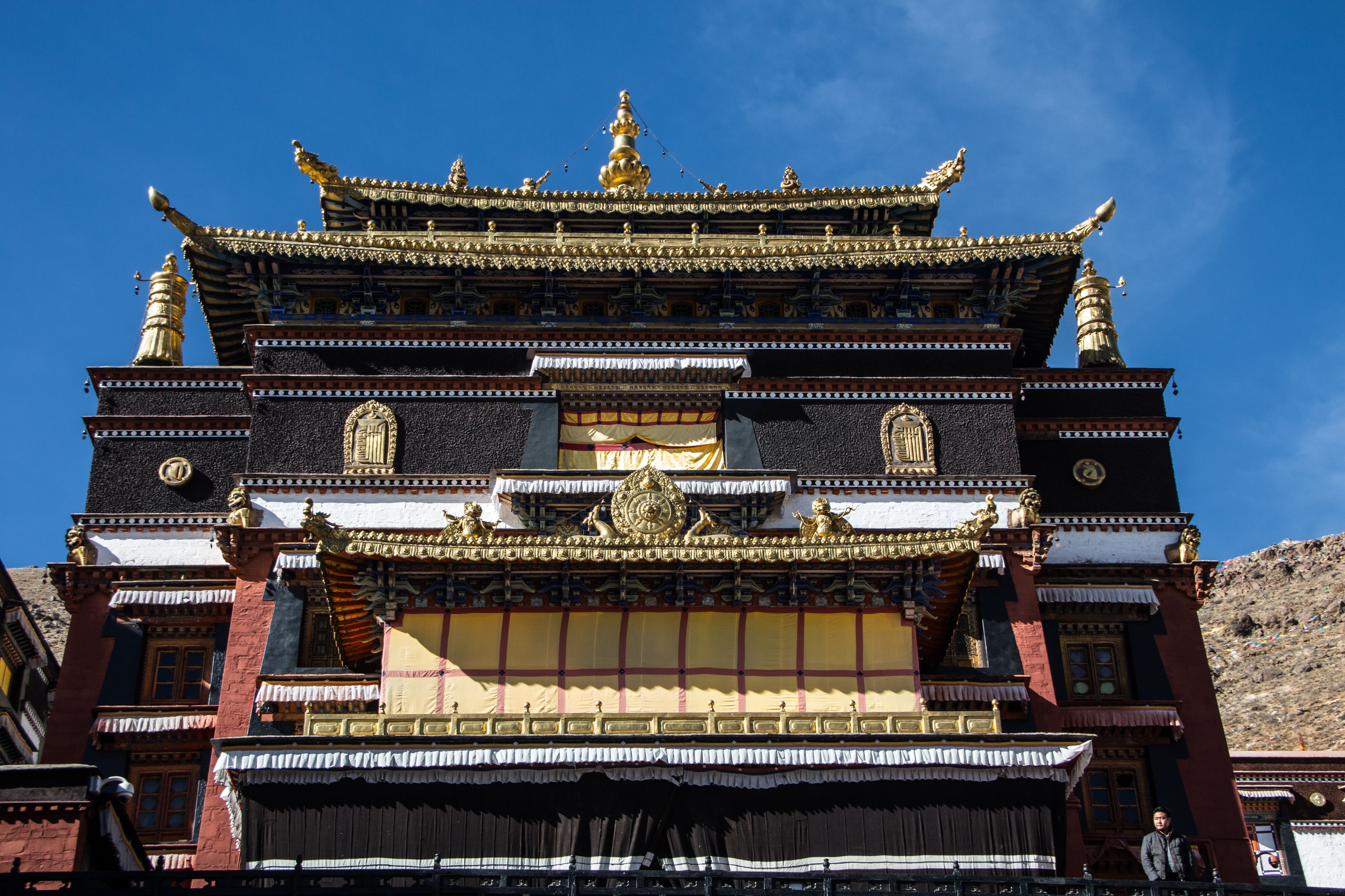 brown and black pagoda