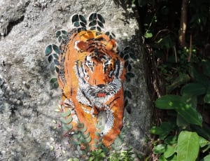 grey tiger print stone near green leaf plant during daytime thumbnail