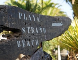 brown wooden playa strand beach signage thumbnail