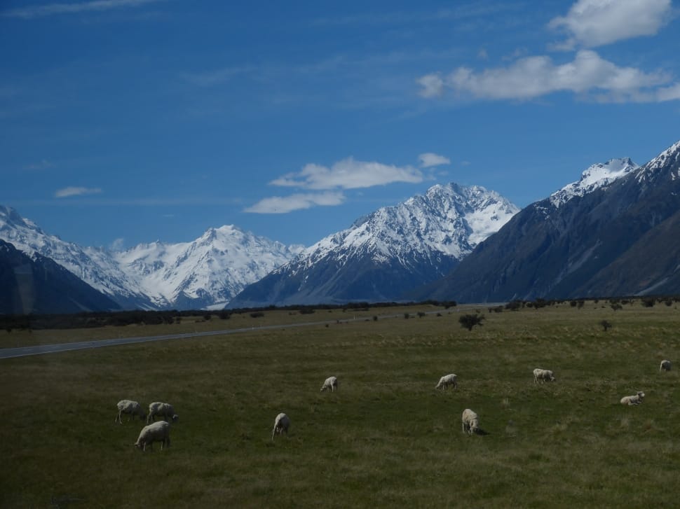 New Zealand, Nature, Landscape, mountain, mountain range preview