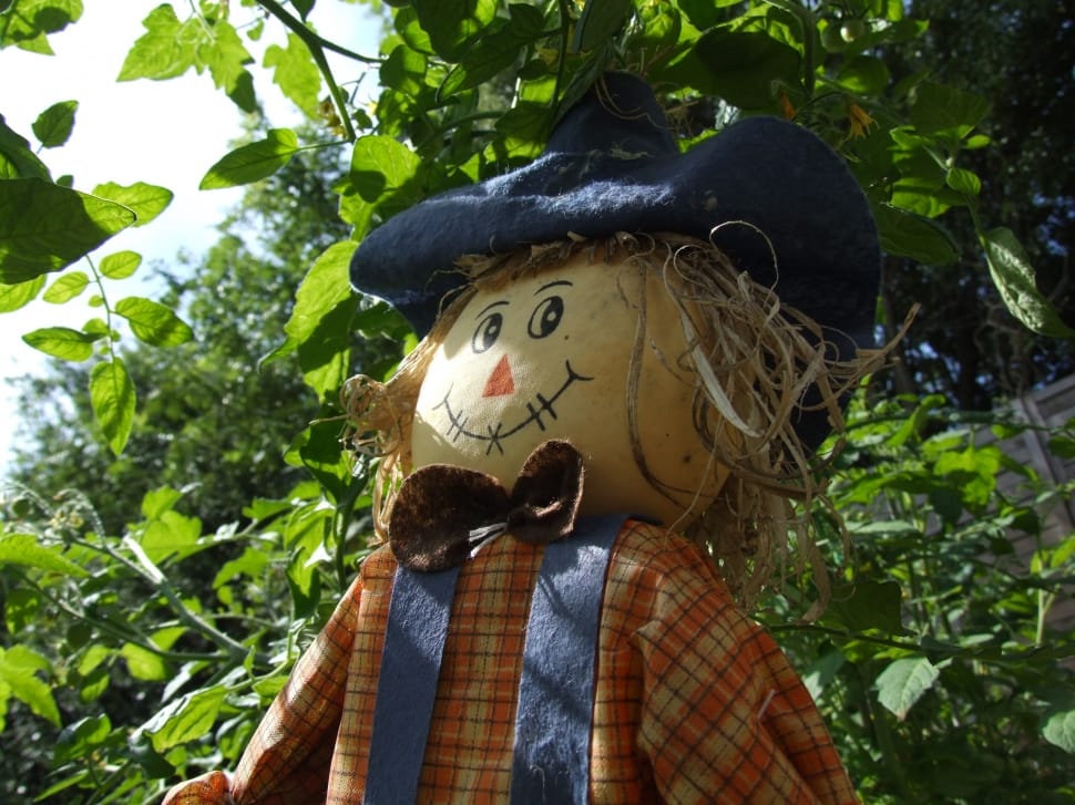 scarecrow in blue hat preview