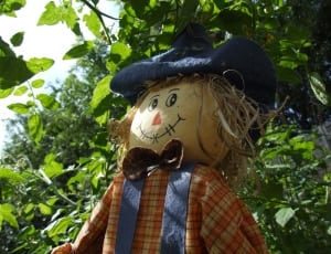 scarecrow in blue hat thumbnail