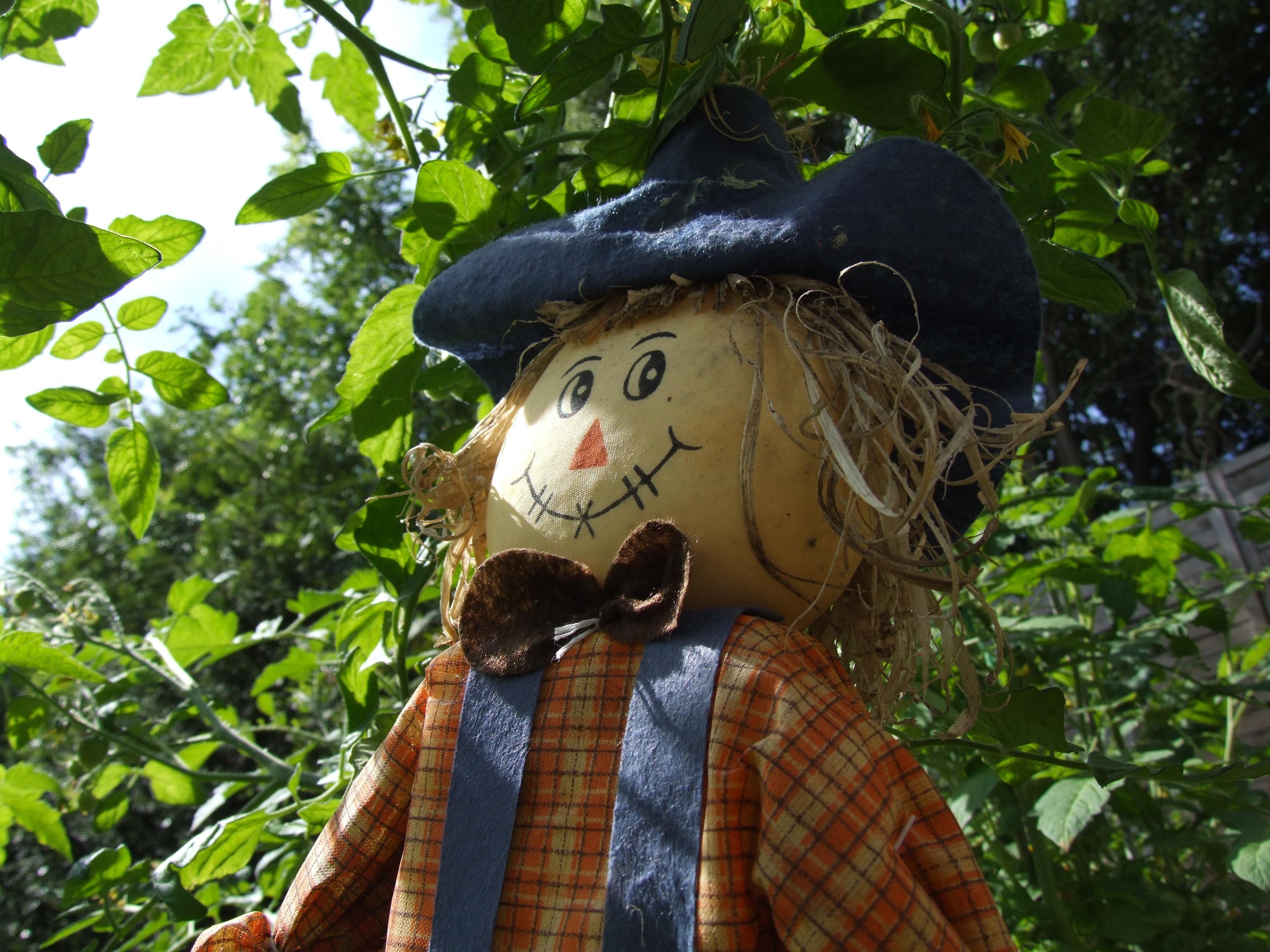 scarecrow in blue hat