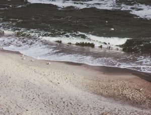 seashore during daytime thumbnail