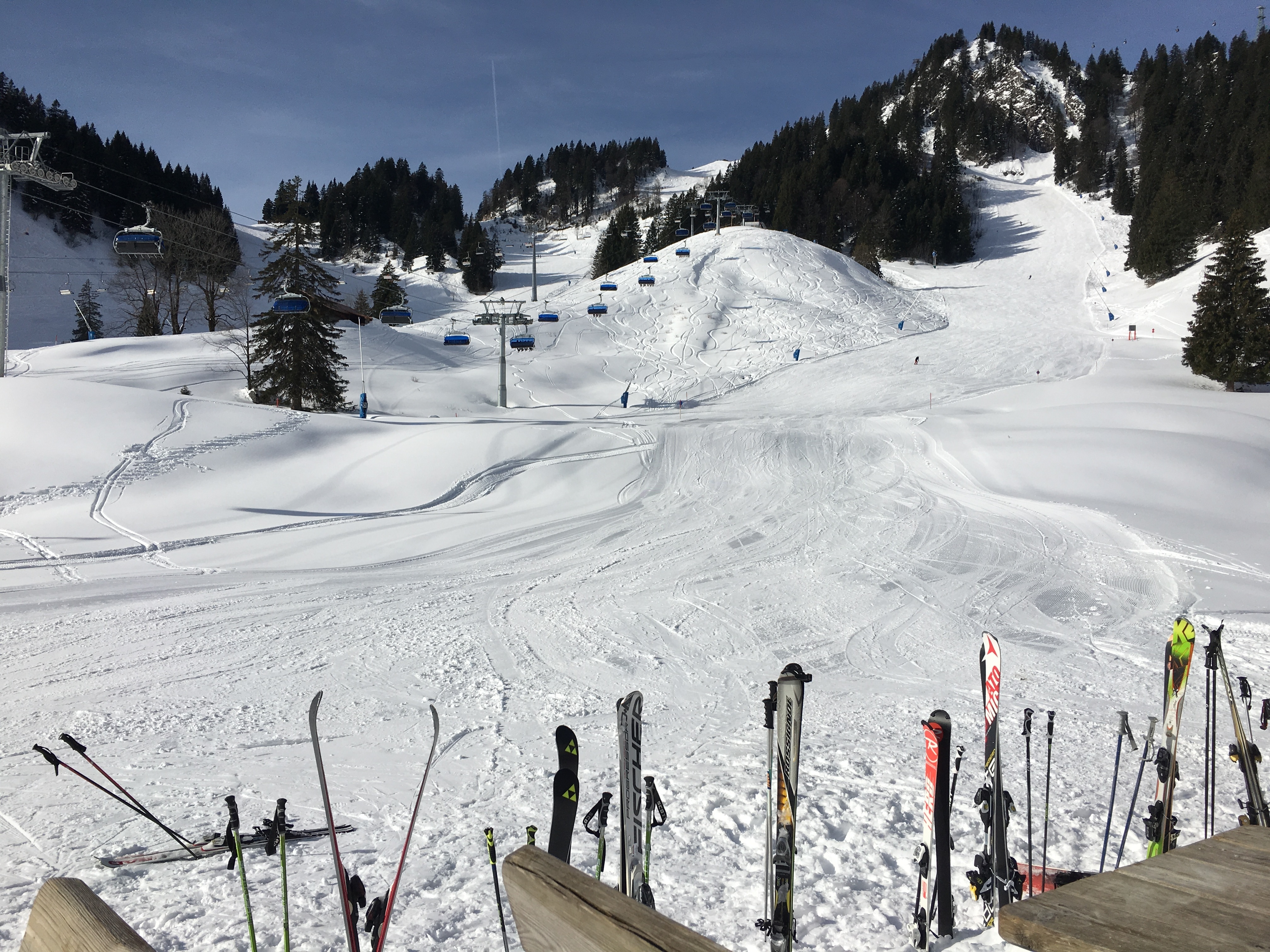 snow skis lot