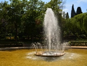 Person take a picture of fountain thumbnail