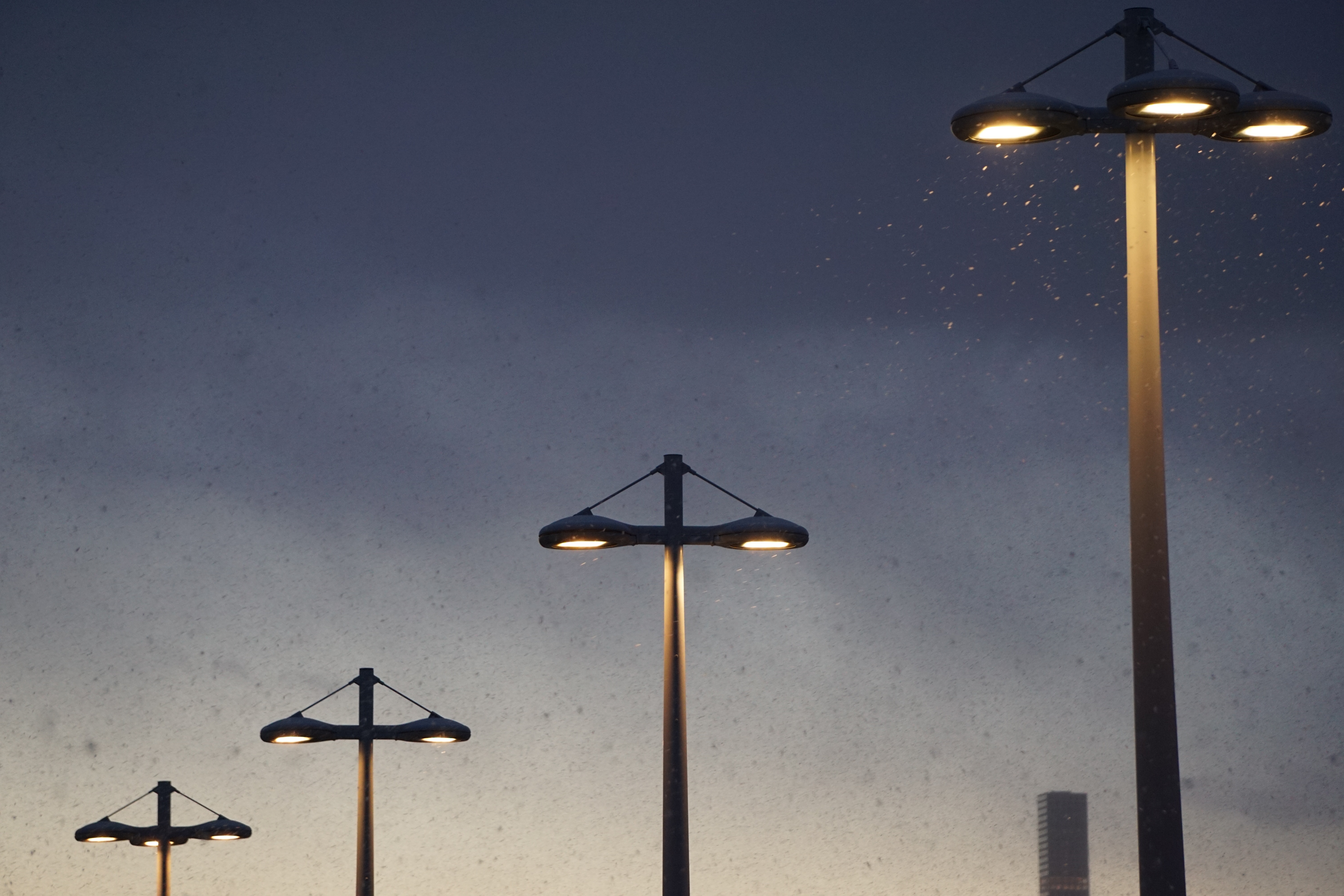 four lighted lampposts during night time