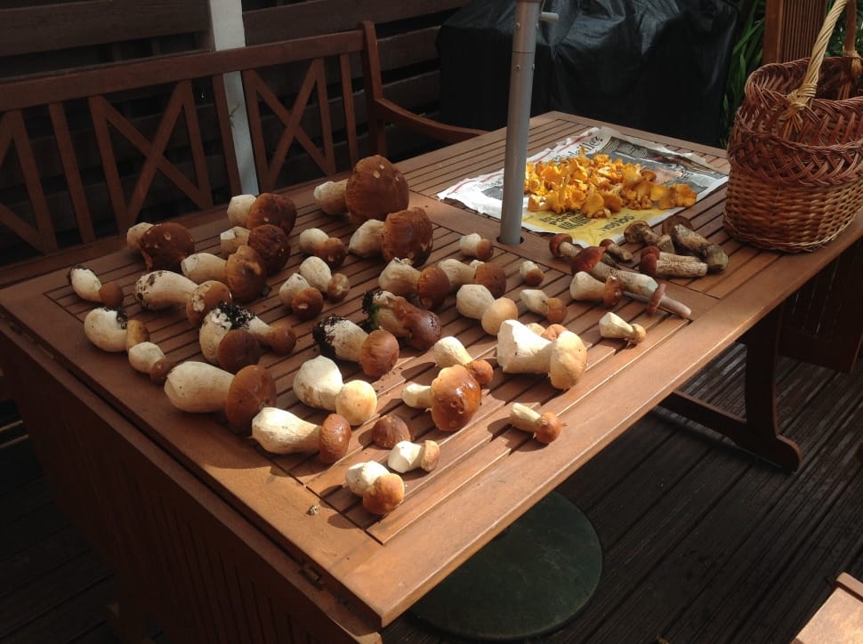 white and white mushrooms on top of brown wooden patio table with basket preview