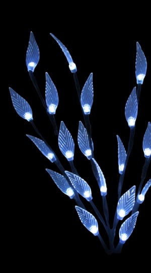 blue leaf themed lights thumbnail