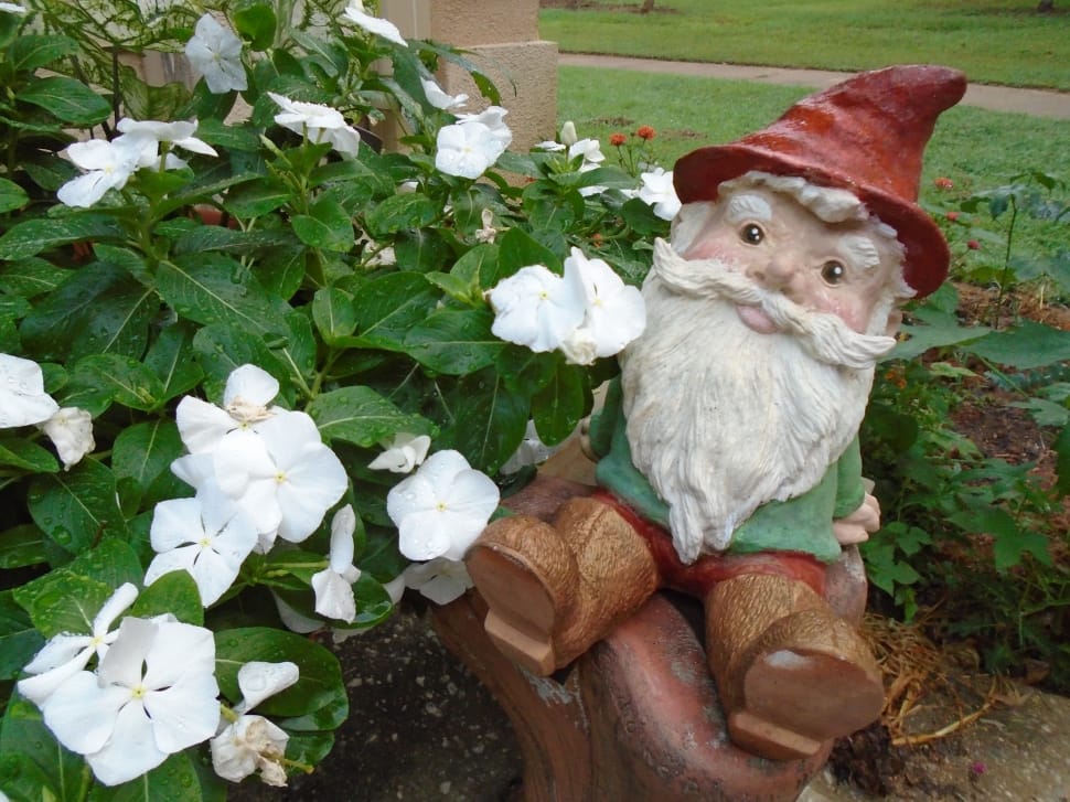 gnome beside white flowers preview