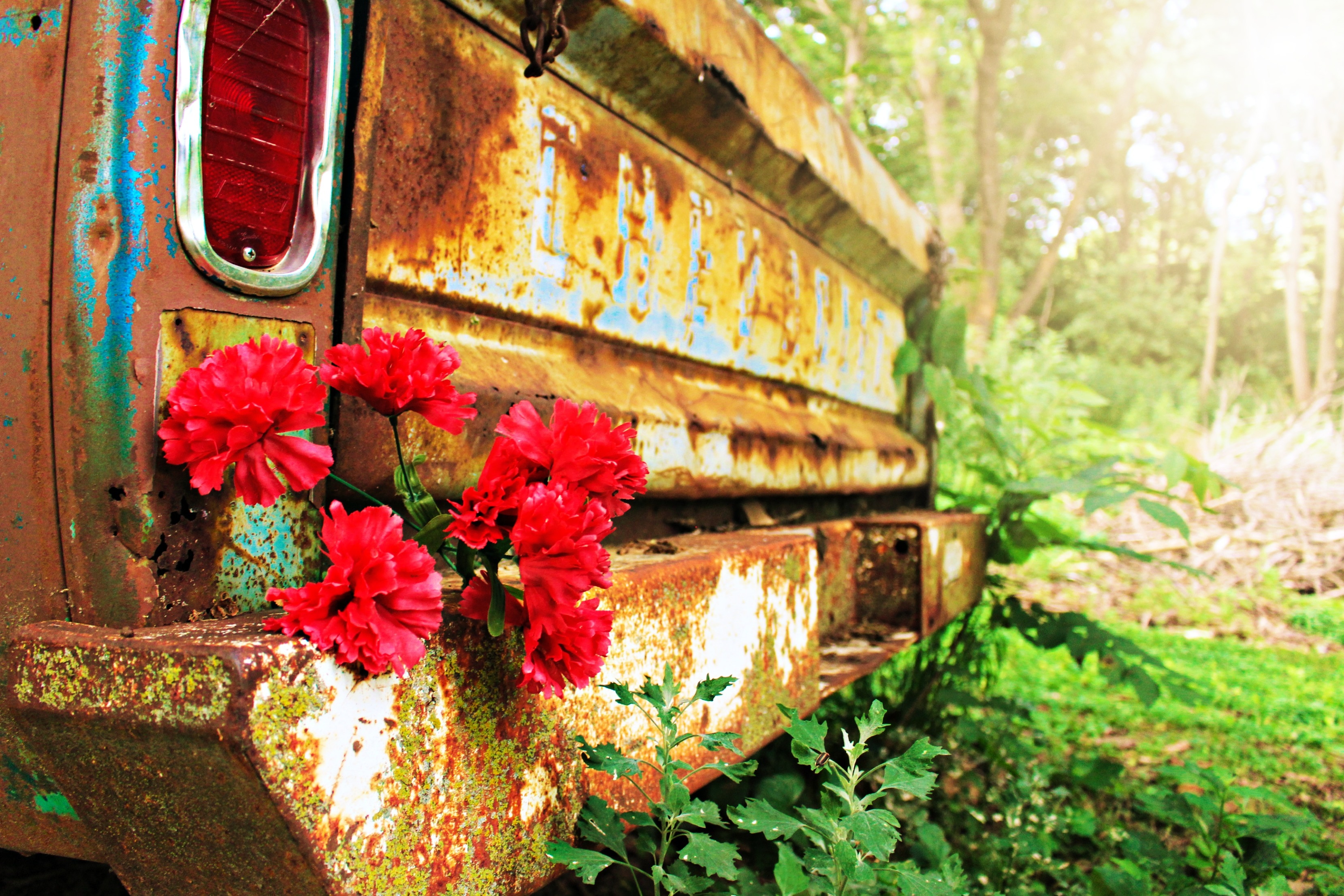 rusted metal vehicle with a flower near the tail gate