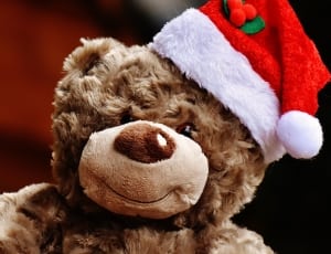 brown teddy bear wearing santa hat thumbnail