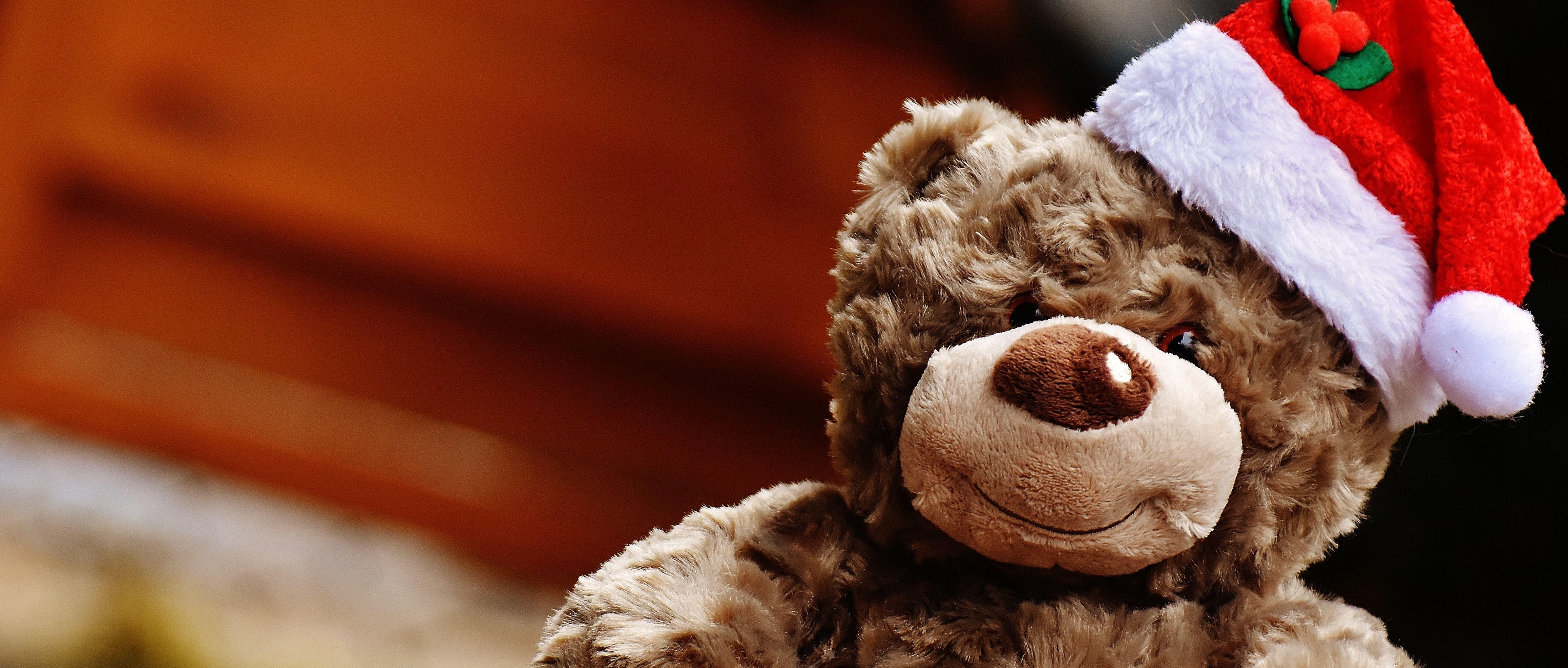 brown teddy bear wearing santa hat