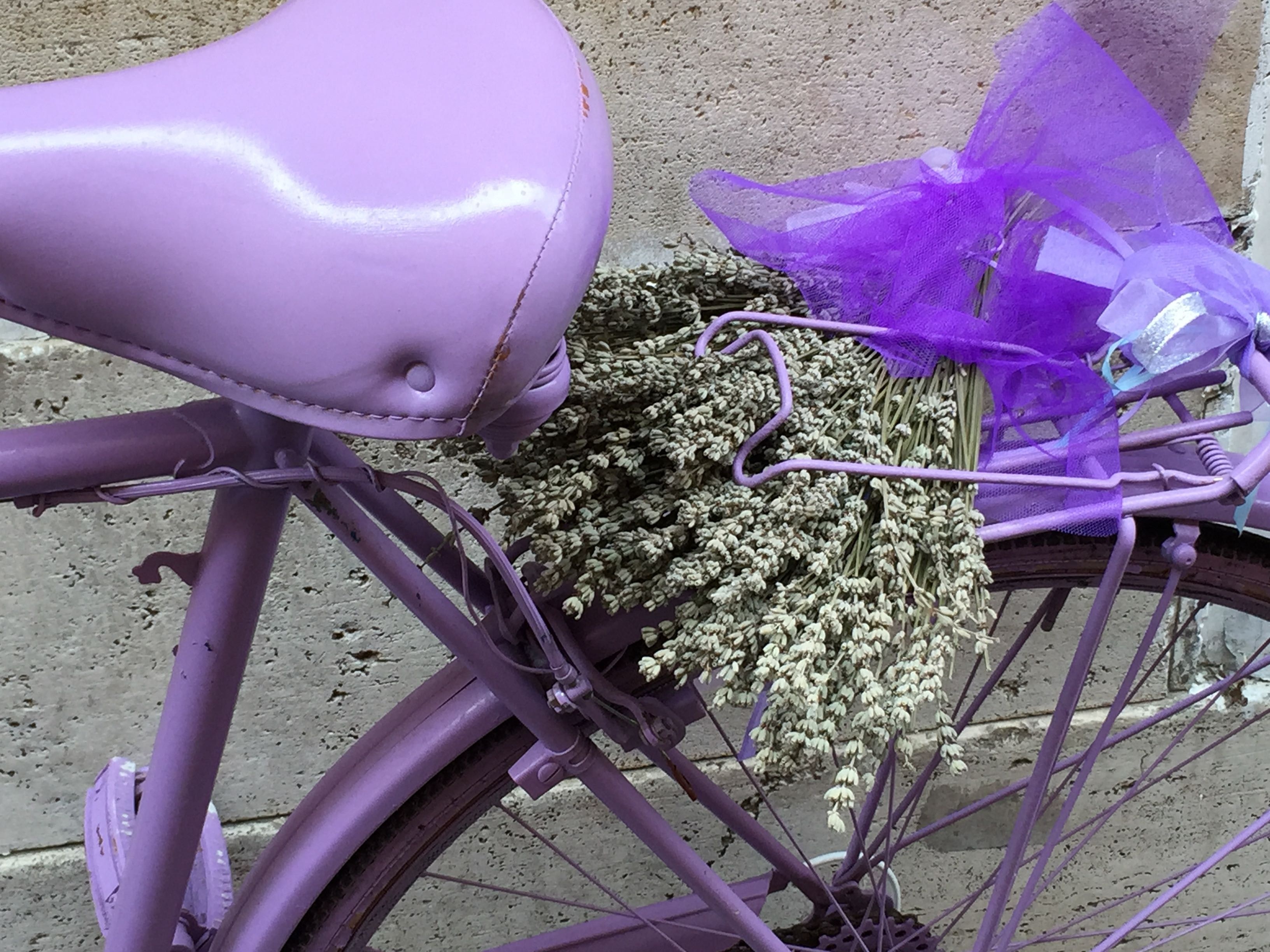 purple city bike