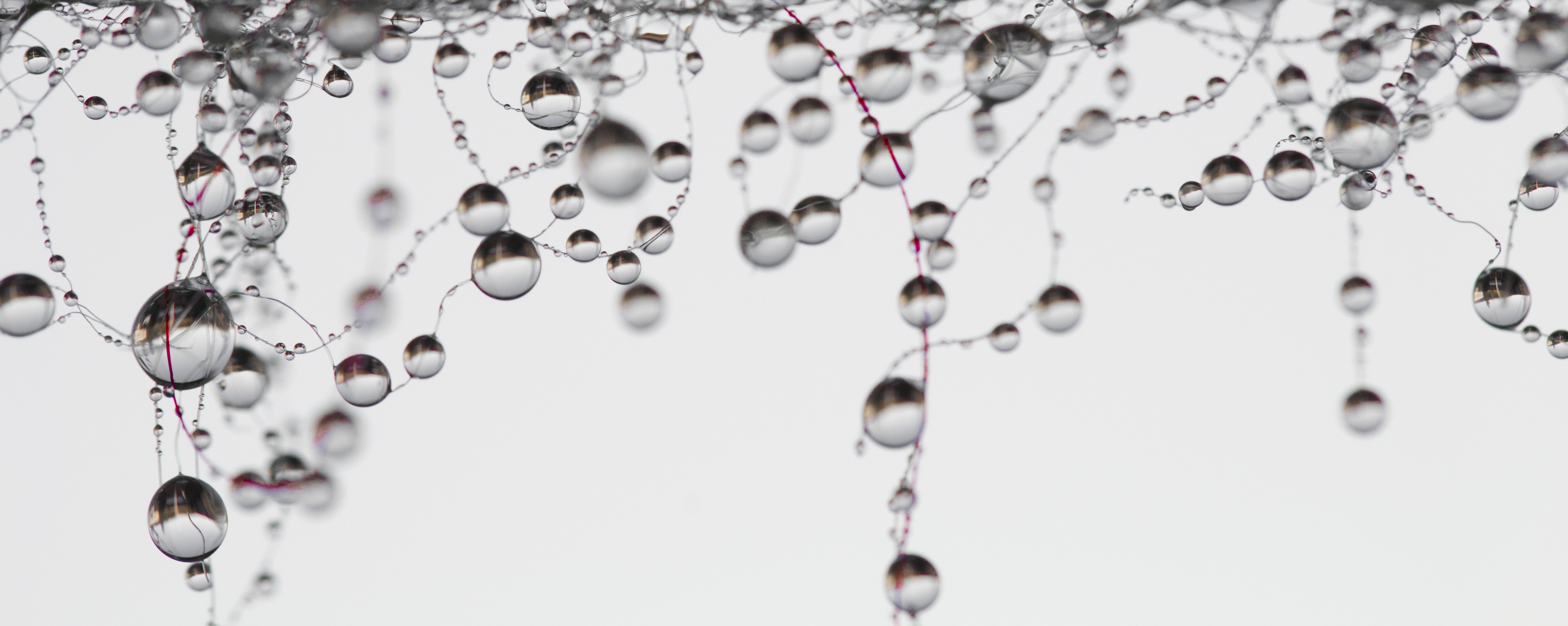 2560x1440-wallpaper-drops-of-water-peakpx