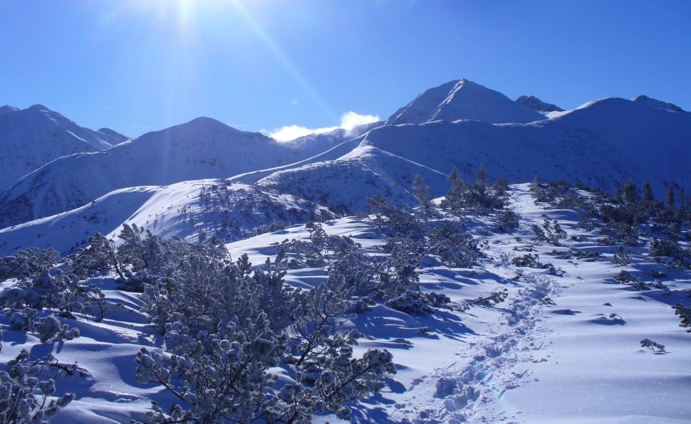 snowy mountain alps preview