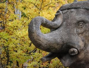 gray elephant statue thumbnail