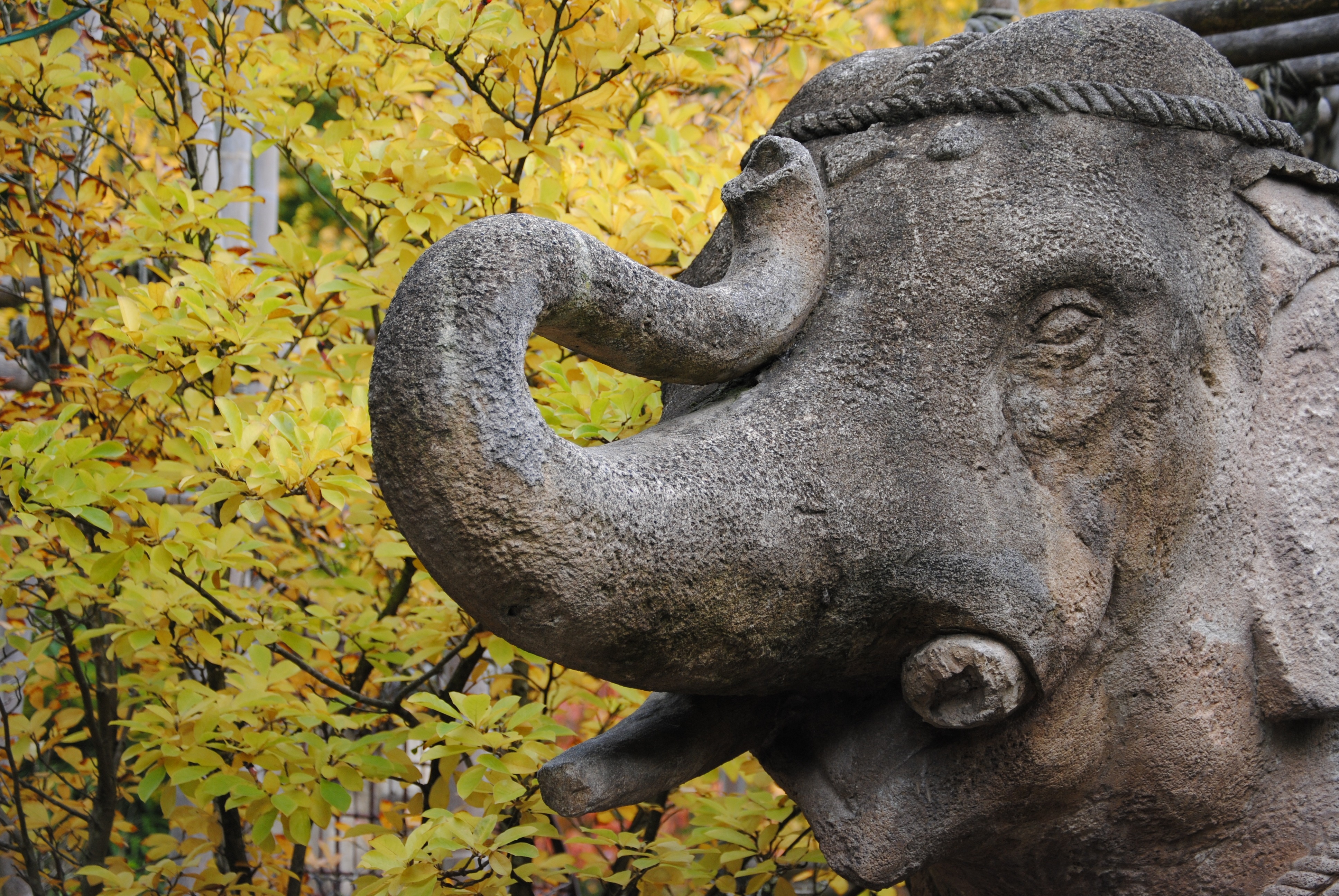 gray elephant statue